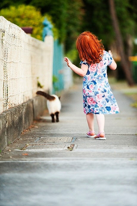 Una ragazza e un gatto